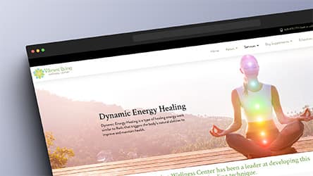 Vibrant Living Wellness Center - Fireball8 Design
