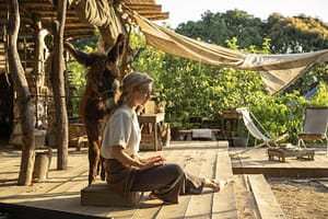 Eden - Photo by Jasin Boland