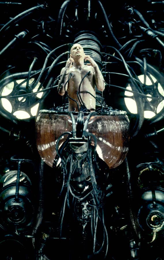 The Matrix - Jasin Boland